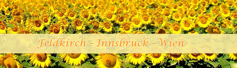 Feldkirch Innsbruck Wien
